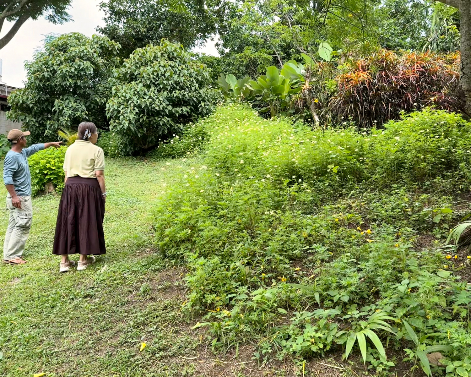 Dakong Marikit Farm scene